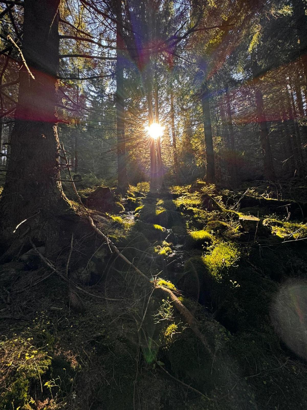 Chata Pod Studnicnou Pec pod Sněžkou Buitenkant foto