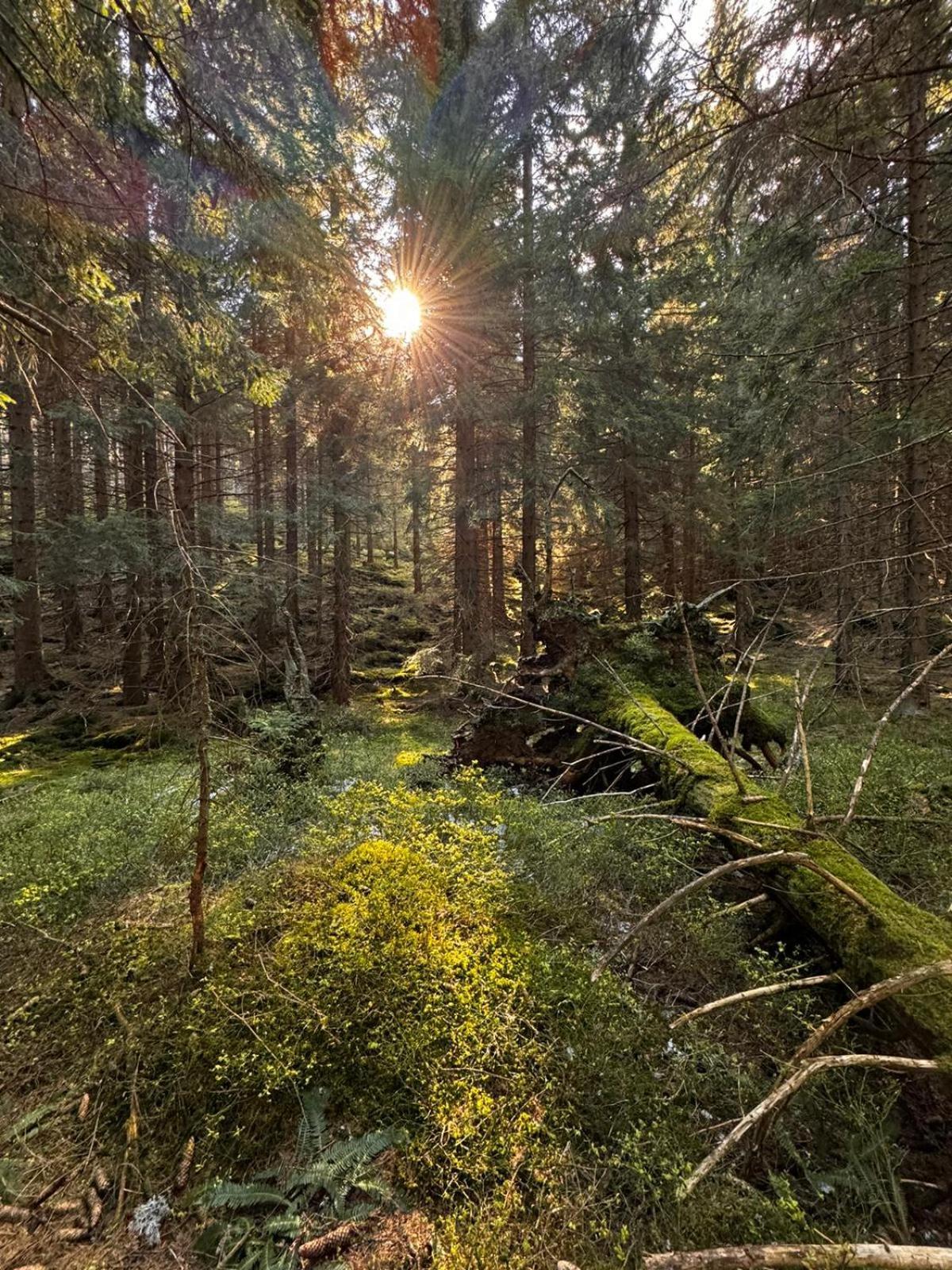 Chata Pod Studnicnou Pec pod Sněžkou Buitenkant foto