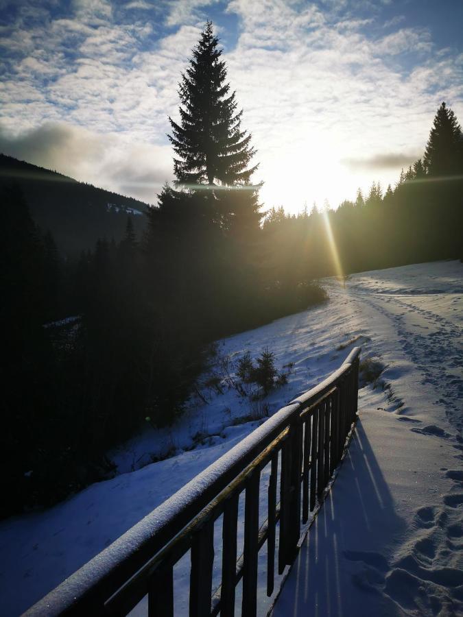 Chata Pod Studnicnou Pec pod Sněžkou Buitenkant foto