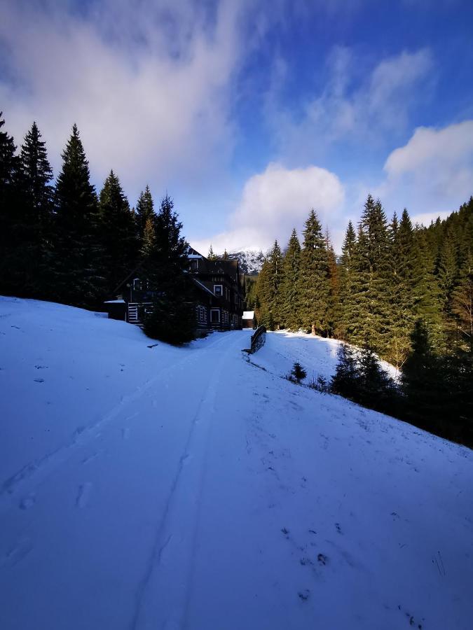 Chata Pod Studnicnou Pec pod Sněžkou Buitenkant foto