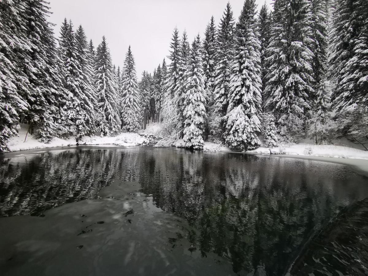 Chata Pod Studnicnou Pec pod Sněžkou Buitenkant foto