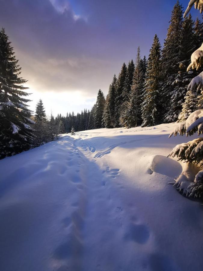Chata Pod Studnicnou Pec pod Sněžkou Buitenkant foto